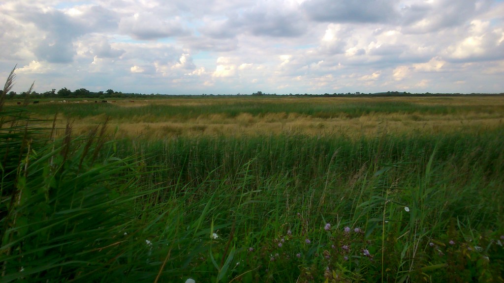 Otmoor