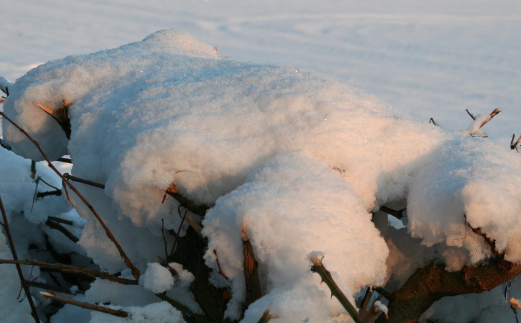 Snow